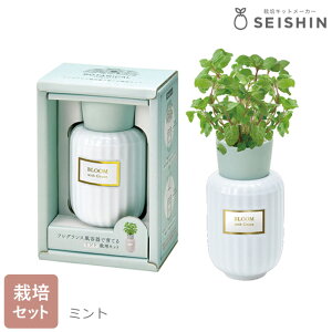 ͔|Zbg ͔|Lbg V| {^jJtOX  S ʋ͔| IV Mtg y ~g o[ ChXgx[ GD-103001 GD-103002 GD-103003 z