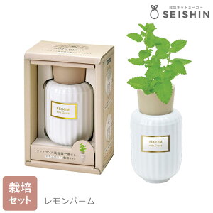 ͔|Zbg ͔|Lbg V| {^jJtOX  S ʋ͔| IV Mtg y ~g o[ ChXgx[ GD-103001 GD-103002 GD-103003 z