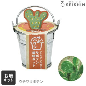 ͔|Zbg ͔|Lbg V| T{oPc ͔|Lbg T{e S ȒP 킩  Mtg y ۃT{e T{e T{e GD-103401 GD-103402 GD-103403 z