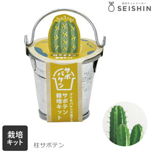 ͔|Zbg ͔|Lbg V| T{oPc ͔|Lbg T{e S ȒP 킩  Mtg y ۃT{e T{e T{e GD-103401 GD-103402 GD-103403 z