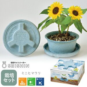 ͔|Lbg ͔|Zbg V| O[tH[s[X ȒP S q ƒ؉ K[fjO `eB SDGs n y N[o[ q} Xgx[ Î TCN z