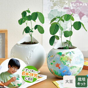 �͔|�Z�b�g �͔|�L�b�g ���V���| ��Ă鐢�E �哤�͔|�L�b�g ���S�� ���� ������ �哤 ���ˏ� �y ���R���� �y�����w�� GD-103701 �z