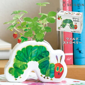 ͔|Zbg ͔|Lbg V| ͂؂ނ 킭킭|bgK[f 퐻 ˏ S  y lt̃N[o[ ChXgx[ HP-0601 HP-0602 z