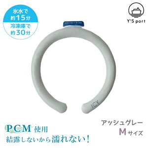 N[O 24 ACV[ V[xbgO M ICY SHERBET RING y CY|[g p[v u[ O[ zCg ubN 24x q l  ۗ z