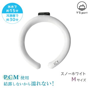 N[O 24 ACV[ V[xbgO M ICY SHERBET RING y CY|[g p[v u[ O[ zCg ubN 24x q l  ۗ z