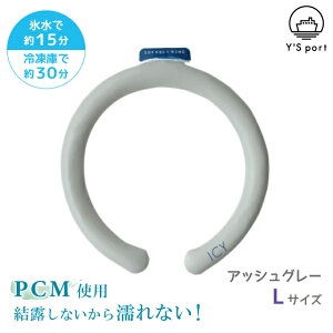 N[O 24 ACV[ V[xbgO L ICY SHERBET RING y CY|[g p[v u[ O[ zCg ubN 24x q l  ۗ z