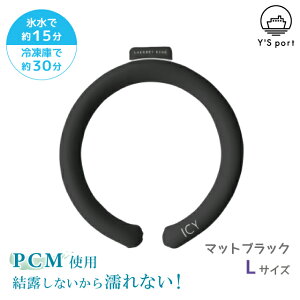 N[O 24 ACV[ V[xbgO L ICY SHERBET RING y CY|[g p[v u[ O[ zCg ubN 24x q l  ۗ z