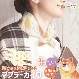 ق瓰 }t[JC 3P 3 HOT85321 ĝăJC p Č   y \Ȃ A} x_[  Mtg 蕨 z