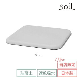 ＼500円OFFクーポン発行中／ soil 日本製 珪藻土 バスマットスクエア B161 幅36cm 【 ソイル 国産 ノンアスベスト 珪藻土バスマット 珪藻土マット バスマット マット 足ふきマット 速乾 吸湿 吸水 無地 良好 濡れない 贈り物 ギフト 新築祝い 結婚祝い 】〈宅配便〉