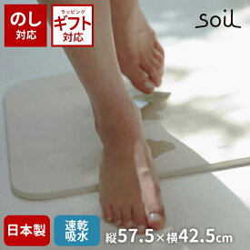 ＼500円OFFクーポン発行中／ soil 日本製 珪藻土 バスマットライト B246【 ソイル 国産 ノンアスベスト 珪藻土バスマット 珪藻土マット 速乾 吸湿 吸水 良好 濡れない おしゃれ 軽量 衛生的 薄い 丈夫 速乾 足ふきマット 正規品 幅57.7cm 】〈宅配便〉