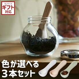 ＼全品5%OFFクーポン有／ soil 日本製 珪藻土 COCHA-SAJI 小茶さじ 3本セット 速乾 吸湿 吸水