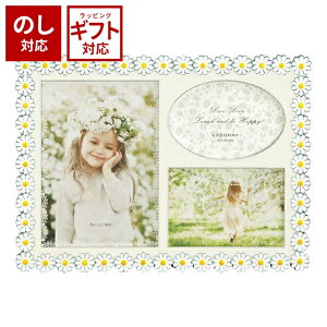 LADONNA hi J~[ tHgt[ t[ ~j BJ11-30