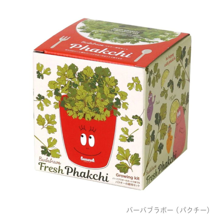 楽天市場 100円offクーポン発行中 聖新陶芸 バーバブラボー バーバズー 栽培セット Pl 39 Pl 38 バーバパパ バーバブラボー バーバズー パクチー バジル 栽培セット 栽培キット 室内 かわいい Fine Dream 楽天市場店