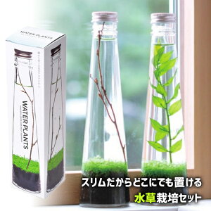 水草 種 Diy 工具の人気商品 通販 価格比較 価格 Com