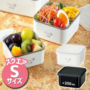 HAKOYA nR ݂ `vX XNGAS ٓ `{bNX