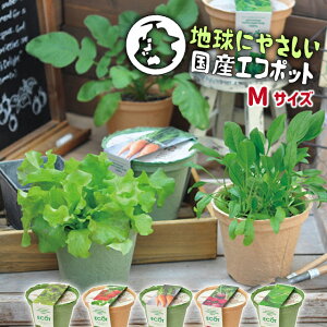 種 レタス 栽培 種の人気商品 通販 価格比較 価格 Com