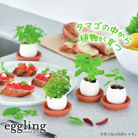 栽培セット 栽培キット 聖新陶芸 エッグリング クリアパッケージ EG57 【 初心者 eggling ミント バジル カクタス ワイルドストロベリー クローバー チリペッパー 卵型 かわいい プチギフト 野菜 花 】〈宅配便〉