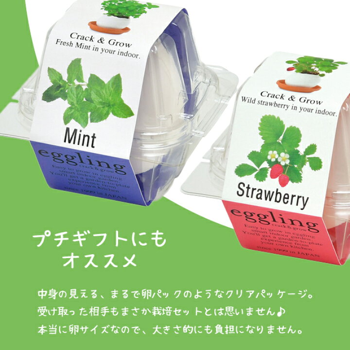 151円 格安新品 エッグリング クリアパッケージ ミント 観葉植物 ガーデニング 聖新陶芸 ギフト プレゼント 栽培セット インテリア雑貨 151円 格安新品 エッグリング クリアパッケージ ミント 観葉植物 ガーデニング 聖新陶芸 ギフト プレゼント 栽培セット インテリア雑貨