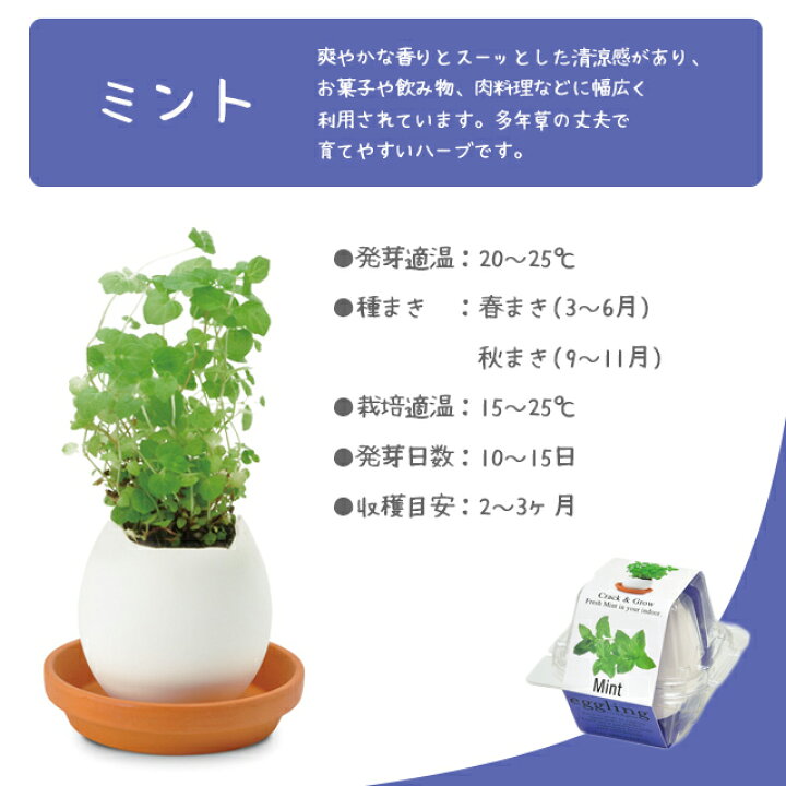 楽天市場 100円offクーポン発行中 栽培セット 栽培キット 聖新陶芸 エッグリング クリアパッケージ Eg57 初心者 Eggling ミント バジル カクタス ワイルドストロベリー クローバー チリペッパー 卵型 かわいい プチギフト 野菜 花 Fine Dream 楽天市場店 楽天市場 100円offクーポン発行中 栽培セット 栽培キット 聖新陶芸 エッグリング クリアパッケージ Eg57 初心者 Eggling ミント バジル カクタス ワイルドストロベリー クローバー チリペッパー 卵型 かわいい プチギフト 野菜 花 Fine Dream 楽天市場店