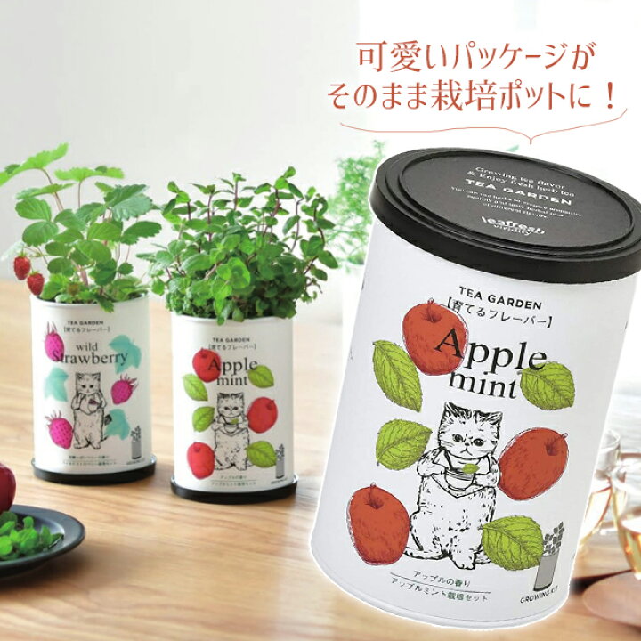 栽培セット 栽培キット 育てるグリーンペット バジル ミニトマト ワイルドストロベリー 野菜 レモンバーム ミント レタス