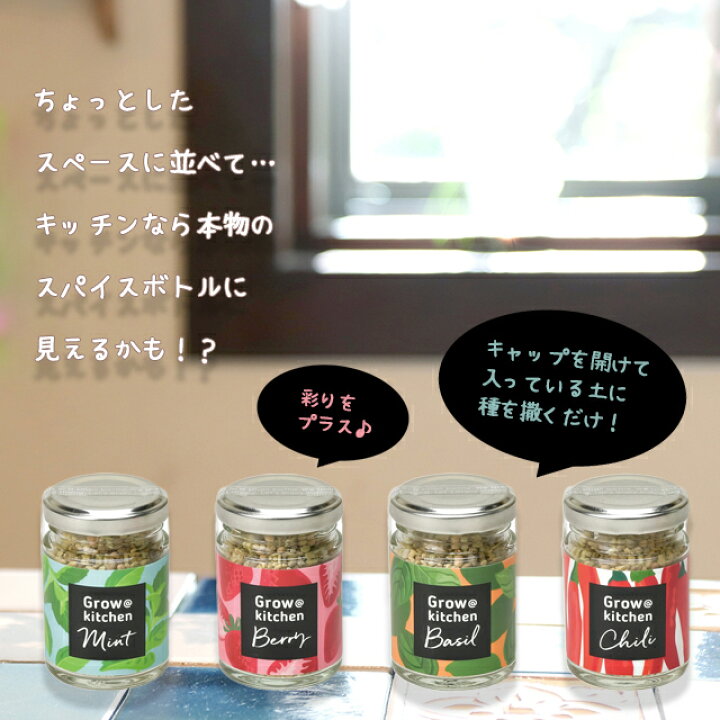 完売 ボトルハーブス 栽培キット 発芽保障 ワイルドストロベリー チリペッパー とうがらし バジル ミント 香草 栽培セット 聖新陶芸 Flyingjeep Jp