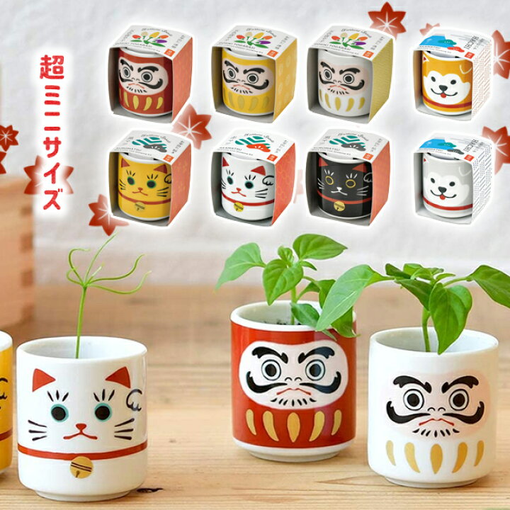 楽天市場 100円offクーポン発行中 栽培キット 栽培セット 室内 聖新陶芸 お芽でたおちょこ 5色唐辛子 赤松 黒松 達磨 だるま 招き猫 まねきねこ 柴犬 忠犬ハチ公 縁起物 ギフト プレゼント ミニ盆栽 かわいい 和風 日本 Fine Dream 楽天市場店