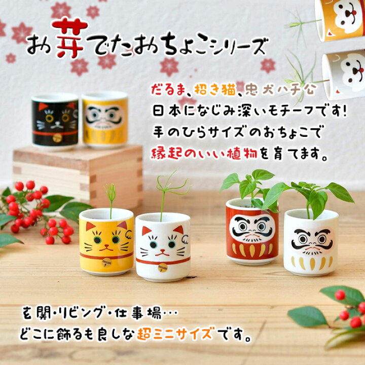 楽天市場 100円offクーポン発行中 栽培キット 栽培セット 室内 聖新陶芸 お芽でたおちょこ 5色唐辛子 赤松 黒松 達磨 だるま 招き猫 まねきねこ 柴犬 忠犬ハチ公 縁起物 ギフト プレゼント ミニ盆栽 かわいい 和風 日本 Fine Dream 楽天市場店