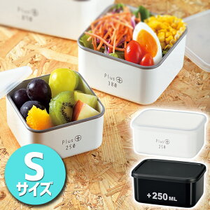 HAKOYA nR `vXS 250ml y R[eBO ٓ ۑe   Vv dqWΉ H@Ή z