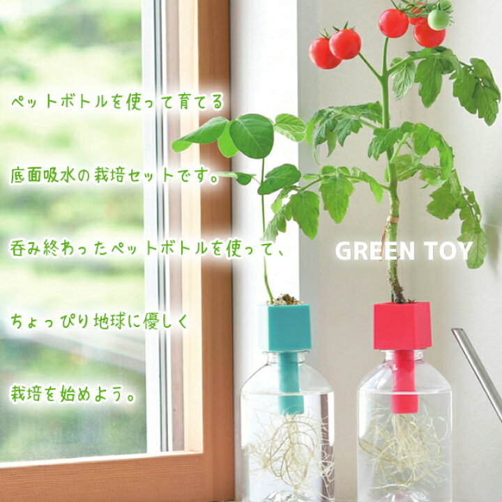楽天市場 100円クーポン発行中 栽培セット 栽培キット 室内 聖新陶芸 グリーントイ Gd935 野菜 プチトマト 四季なりいちご おつまみ枝豆 かわいいサボテン Green Toy ペットボトル ボトル栽培 エコ かわいい 初心者 ギフト Fine Dream 楽天市場店