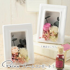 t[ R|[g Paseo t[R|[g S CW-10WH ypZI R|[g t[ vUpt[ Ԋ t[AWg vU[uht[  z