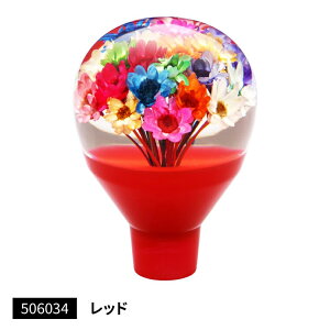 p[LOu[Lpmu  dp[LOu[Lԗpmu  JET INOUE gbNpi