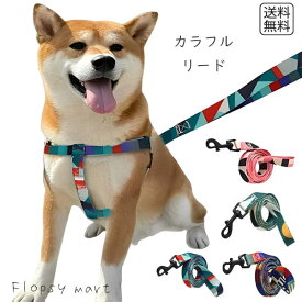 予約 ペットグッズ カラフルリード付きハーネス 小型犬 中型犬 猫用 散歩用 胴輪 カラフル おしゃれ 可愛い 調整可能 負担軽減 快適 お出かけ用品 リードセット オレンジ ピンク ブルー グリーン 便利 軽量 安全設計