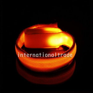 y1000~|bLzLEDuXbg Lv tFX ԃjO hƃANZT[ ANZT[ ԎFAbv ֗ NX}X p[eB[ Cxg ڗ S