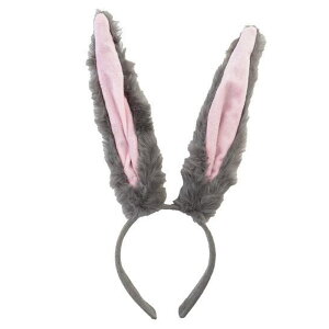 \ RXv ETMJ`[V   ǂԂ Aj} oj[K[ ӂӂ tFCNt@[ fB[X Y Cxg p[eB[ w  nEB  