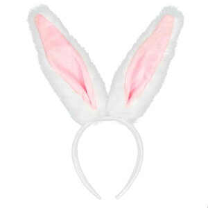 \ RXv ETMJ`[V   ǂԂ Aj} oj[K[ ӂӂ tFCNt@[ fB[X Y Cxg p[eB[ w  nEB  