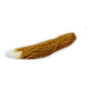 yLO܁Iz RXv ϐK ˂ tHbNXe[ Aj} KANZT[ RX`[ tt ӂӂ  ݂ ϐgObY  p[eB[ n
