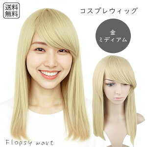 RXvEBbO S[h~fBA  i ϔMt@Co[ RȎ ӂ X^COR nEB  Cxg Aj LN^[ y KȒp jp RX