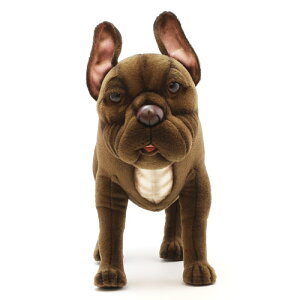HANSA BOXER@inT {NT[j