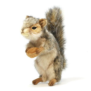 HANSA GRAY SQUIRREL@inT DFXj
