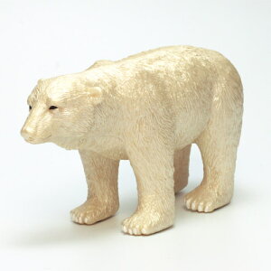 NON COLORED POLAR BEAR@iNON COLORED VN}j yASz