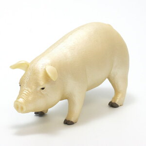 NON COLORED PIG@iNON COLORED u^j yASz