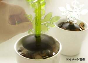 ■MONEYTREEBANKGREEN