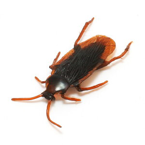 PCV COCKROACH�@�iPVC �S�L�u���j