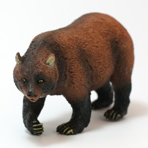 ANIMAL CLASSIC BEAR@iAj}NVbNN}j