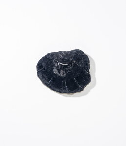 yamabro | A}uzEbhR[X^[@ubN y30z ]؁@ygt@ChEbh@Cށ@VRfށ@VR؁@~ߕt@Lb`G݁@z[G݁@ƎG݁@CeAy0765