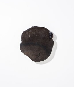 yamabro | A}uzEbhR[X^[@ubN y49z ]؁@ygt@ChEbh@Cށ@VRfށ@VR؁@~ߕt@Lb`G݁@z[G݁@ƎG݁@CeAy0765