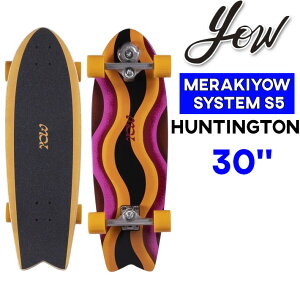 ywTtzYOW T[tXP[g E HUNTINGTON 30C` neBg [52] SURFSKATE Rv[g T[tB XP[g{[h OXP[g{[h g Itg MERAKI SYSTEM S5 POWER SURFING 