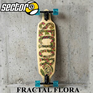 SECTOR9 �Z�N�^�[�i�C�� FRACTAL FLORA 36.0�C���` CARVING �T�[�t�X�P�[�g �I�t�g�� ���g�� �X�P�[�g�{�[�h SK8