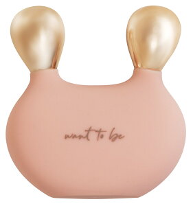 ポスト投函 送料無料アルファックスWTB フェイス