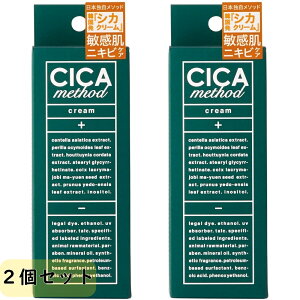 Z |Xg RWbg(COGIT)y2ZbgzCICA method CREAM 50g